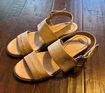 Dr. Scholl’s Freestone Sandals 6