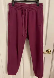 Aritzia TNA Cozy Fleece Sweatpant