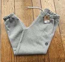 Patagonia Fitz Roy Icon Uprisal Sweatpants Gravel Heather Women's Sz Large NWT