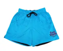 Vintage  Tunesquad Goonsquad Reversible Blue Black Basketball Shorts