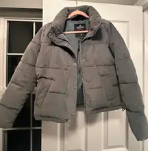 Puffer Collection Coat