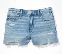 American Eagle Dreamy Drape Denim 90s Boyfriend Shorts