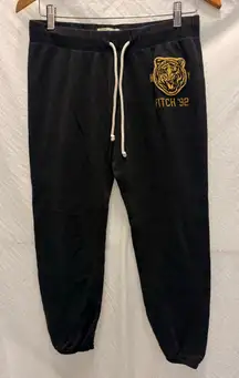 Vintage Abercrombie & Fitch Tiger Sweatpant Small Jogger Gray Embroidery 90s Y2k