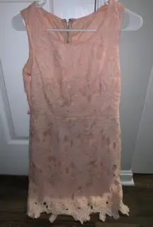 Pink Dress