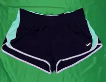 Nike Women's Purple and Mint Dri-Fit  Athletic Shorts size Large