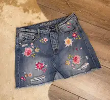 American Eagle Floral Embroidered Denim Mini Skirt 