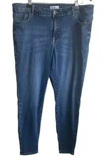 Lane Bryant Women Jeans 22 Blue Straight‎ Leg Normcore Classic Minimalistic