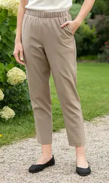 NEW Eileen Fisher Organic Cotton Twill Slim Ankle Pant Color Driftwood Capsule M
