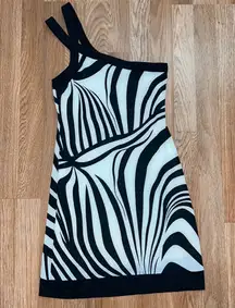 Zebra Print Dress