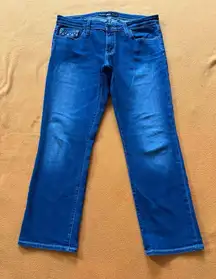 Big Star Women's Jeans‎ Blue Remy Low Rise Fit Size 30
