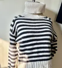 ZARA  Thick Knit Turtle Neck