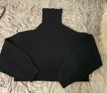 H&M Black Cropped Turtle Neck