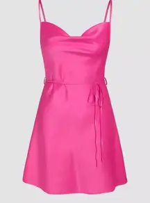 Pink  Slip Dress