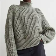 H&M  Chunky Knit Turtleneck Sweater