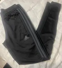 Black Track Pants