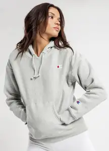 Reverse Weave Hoodie