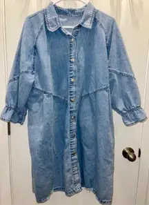 Amazon Dress Jean Button Down