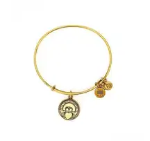 Alex and Ani Claddagh Bronze Expandable Charm