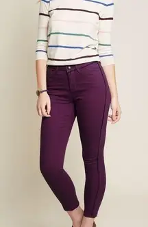 NWOT  Berkeley Pants Purple Navy Blue New