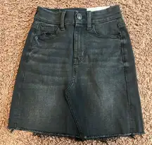 American Eagle Denim Mini Skirt Frayed Hem Black Wash‎ Curvy Hi-Rise 000 NWT