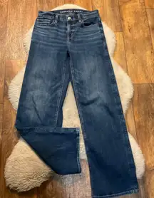 American Eagle Stovepipe Dark Wash Size 00 Womens 30" Inseam