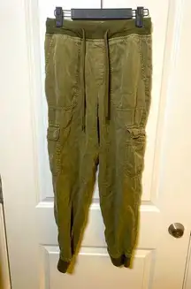 American Eagle Green Jogger Pant