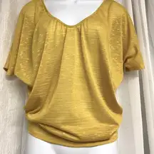 Express Sheer Blouse. Classy and Fun- NWT