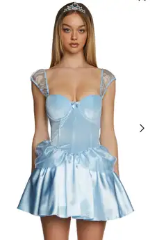 Cinderella Costume