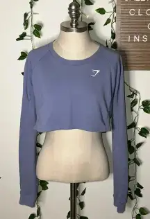 Longsleeve Periwinkle Cropped Top