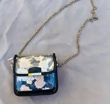 Small clear purse bag