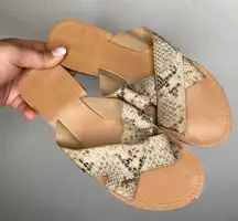 Sergio Todzi | Snakskin Crossover strap‎ sandals 39