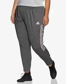 Adidas NWT.  Women’s Tiro Track Pants