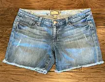 Paige Canyon Boyfriend Short Size 28
