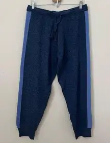 ANTHROPOLOGIE Saturday Sunday Blue Track Pants Size XL