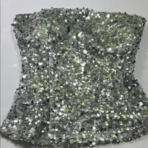 Sequin Strapless Top - Silver