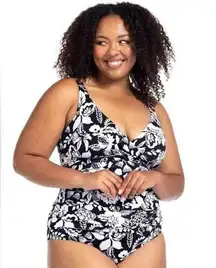 ArteSands NWT Cantata Forte Delacroix D-Cup & up One-Piece Swimsuit Size 14