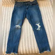 Just Black Denim Capri Skinny Jeans Size 31