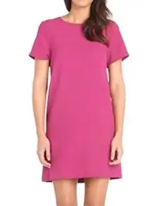 Pink Short Sleeve Shift Stretchy Crew Neck Casual Career NWT Dress 6