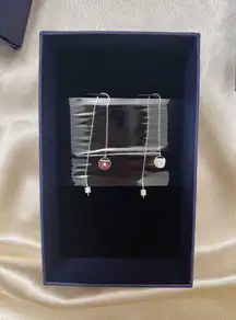 Long Drop Earrings