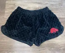University of Arkansas Shorts