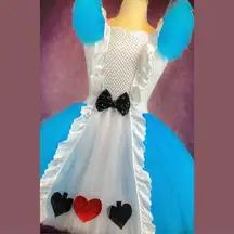 Alice in Wonderland Tulle Costume Dress Size: 18 New Halloween Costume