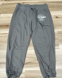 Disney Parks Grey Sweatpants Women’s XS