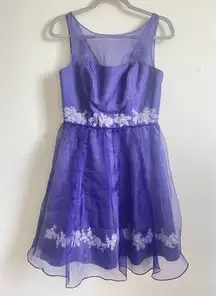 Disney  Fairytale Weddings Purple Tulle Embroidered Dress Princess Fairycore