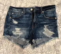 American Eagle Distressed Denim/Jean Shorts