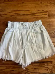 Lizard Thicket Shorts