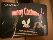 Bunny Costume Playboy