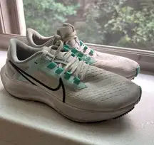 Nike Pegasus 
