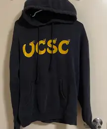 University of California, Santa Cruz (UCSC) Unisex Pullover Hoodie (Size S)