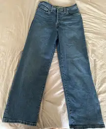 Ribcage Levi’s Straight Ankle Jeans High-Rise