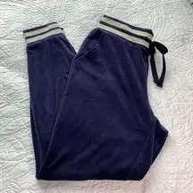 Popsugar Navy Blue Velour Jogger Pany Size Small